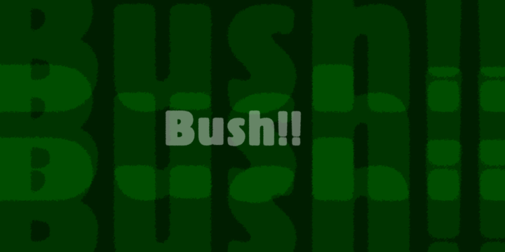 Bush-Font-by-Shuji-Kikuchi
