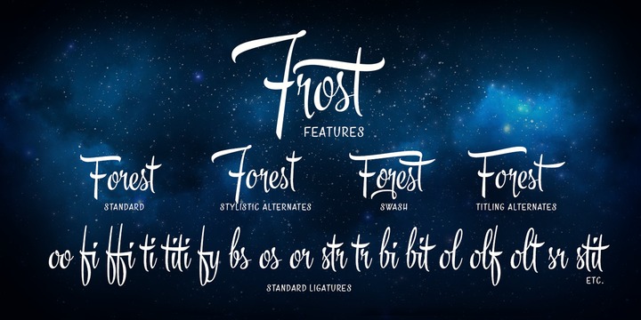 Frost-font-by-Emil-Karl-Bertell-of-Fenotype