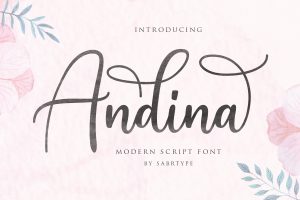 Andina Script Font