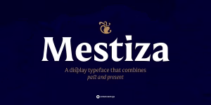 Mestiza, a historical rich serif font