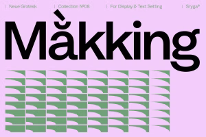 Makking font – A Variable Sans Grotesk Versatile Typeface