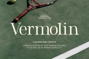 TT Vermolin – A Modern and Classy Serif Font for Sophisticated Designs